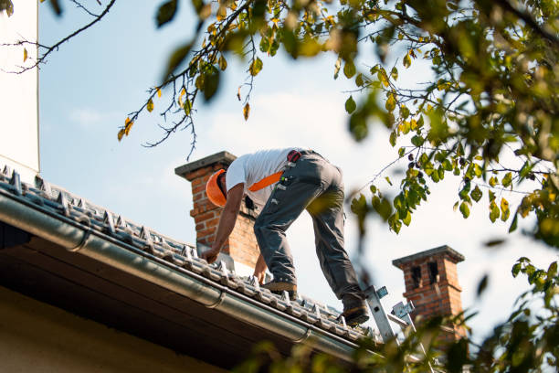 Roof Gutter Cleaning in Richmond, KY