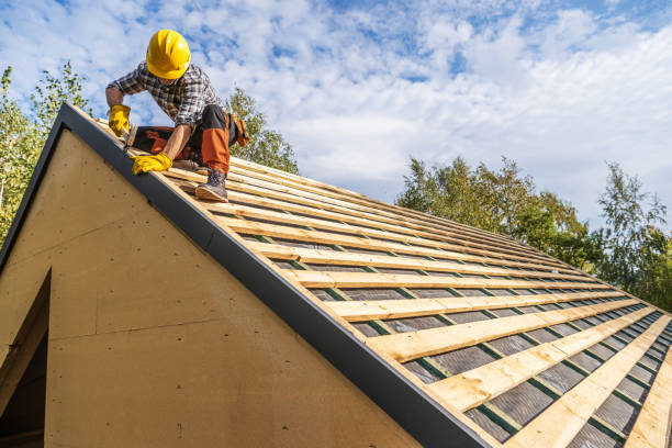 Best Roof Gutter Cleaning  in Richmond, KY